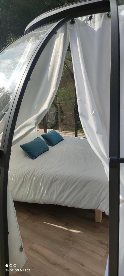 Les Perles Catalanes Bed & Breakfast Vinca Ngoại thất bức ảnh