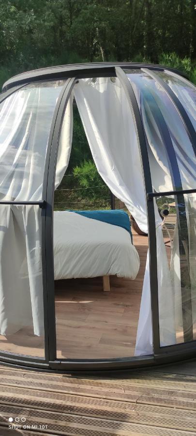 Les Perles Catalanes Bed & Breakfast Vinca Ngoại thất bức ảnh